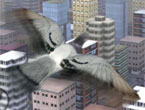 Online Şehir Güvercinleri 2 Oyunu